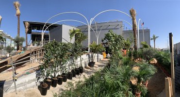 The EXPO in Dubai is opening the pavilion to the public, and a team from the Academy of Sciences of the Czech Republic is planting a garden on the Czech lot