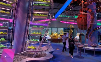 The EXPO in Dubai is opening the pavilion to the public, and a team from the Academy of Sciences of the Czech Republic is planting a garden on the Czech lot