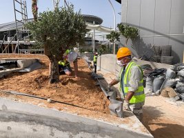 The EXPO in Dubai is opening the pavilion to the public, and a team from the Academy of Sciences of the Czech Republic is planting a garden on the Czech lot